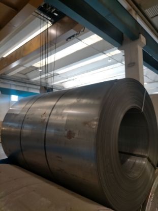 Immagine di 2411601524